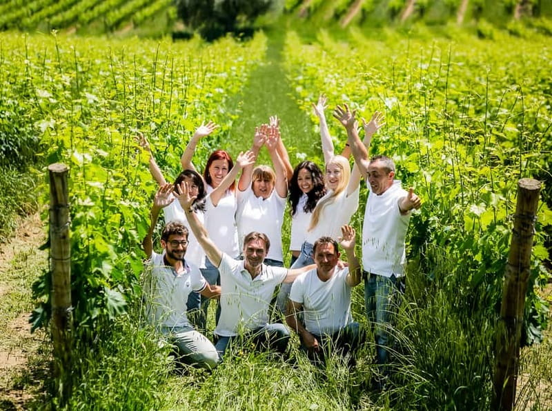 Chianciano Terme: Guided Winery Tour & Wine Tasting - Tuscan snacks and estate olive oil