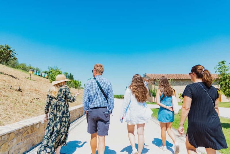 Chianciano Terme: Guided Winery Tour & Wine Tasting - Who will enjoy this most?
