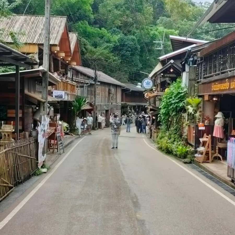Chiang Mai: Mae Kampong Village, Hot Springs & Bor Sang Tour - Key points to know before booking