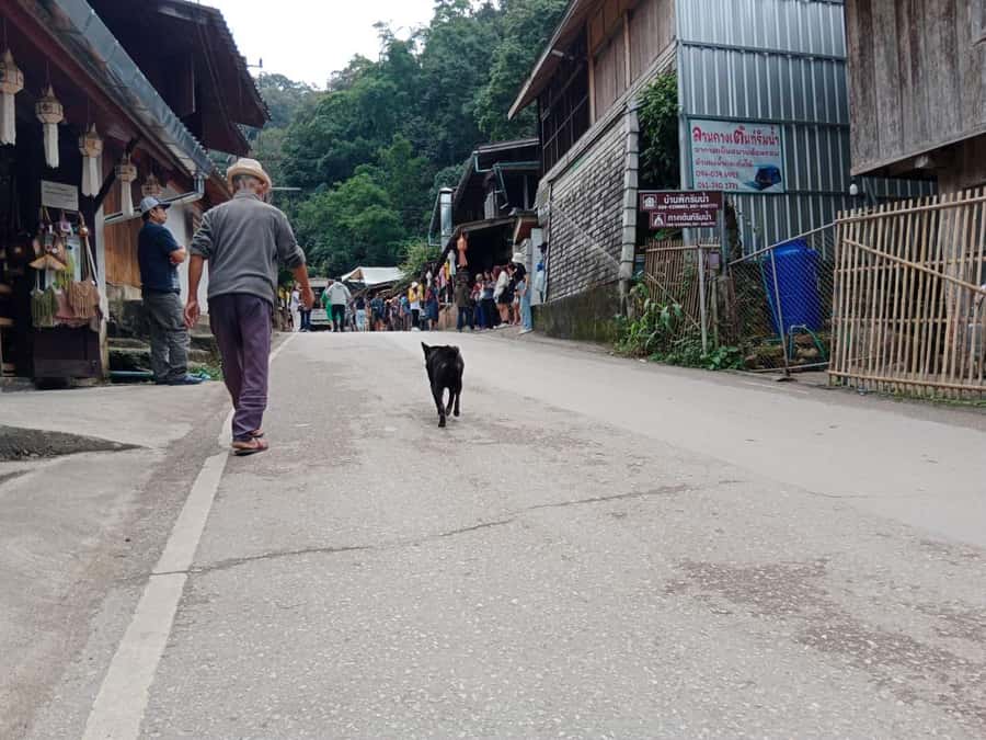 Chiang Mai: Mae Kampong Village, Hot Springs & Bor Sang Tour - What the private vehicle changes