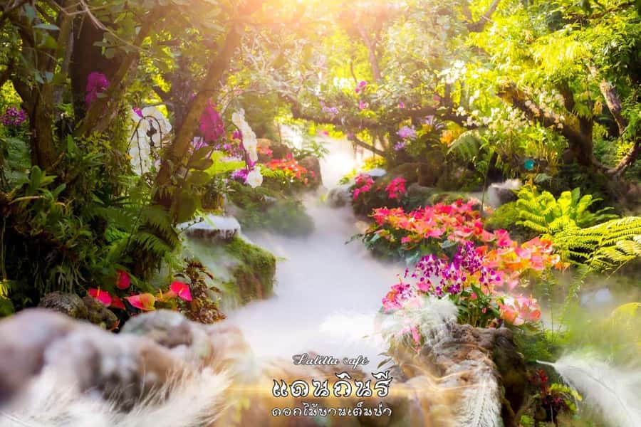 Chiangmai to Chiangrai: 3 Temples, Hot Springs& Lalitta Cafe - Key points to know before booking
