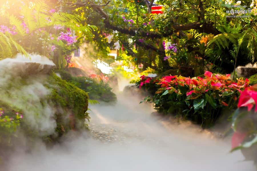 Chiangmai to Chiangrai: 3 Temples, Hot Springs& Lalitta Cafe - Lalitta Cafe and its fairytale garden