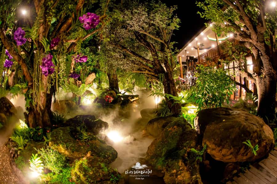 Chiangmai to Chiangrai: 3 Temples, Hot Springs& Lalitta Cafe - Is the $41 price good value?