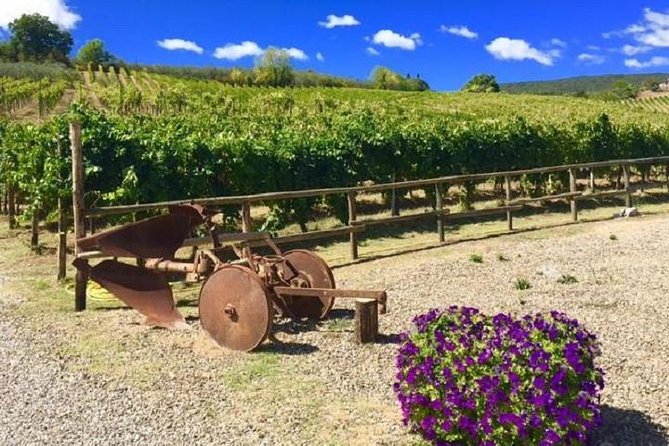 Chianti Wine and Vinci half day Small Group Tour from Montecatini Terme - Key points at a glance
