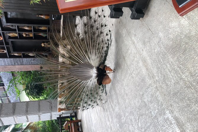 Chongqing Luxury Hot Spring and Massage Luxury Meal Private Tour - Timing, comfort, and practical planning