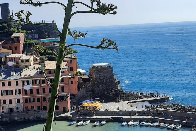 Cinque Terre Semi-Private Day Tour from Montecatini Terme - Monterosso gives you the longest break