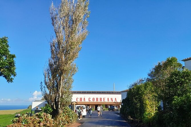 Cruise Travellers : Furnas Volcano & Terra Nostra Thermal Pool - What the $130.61 price includes