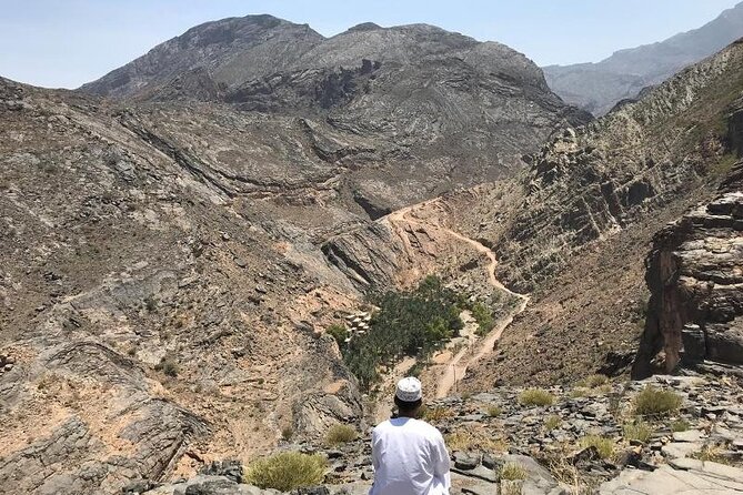 Day Trip to Wadi Bani Awf, Balad Sayt, Nakhal Fort & Hot Spring - Nakhal Fort rises above the date palms