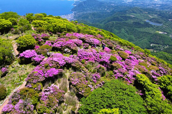 Discover Beppu and Yufuin Nature and Onsen Trip - The key transition: local bus to Yufuin