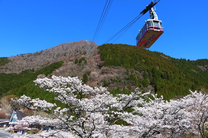 Discover Beppu and Yufuin Nature and Onsen Trip - Making time for a Yufuin onsen