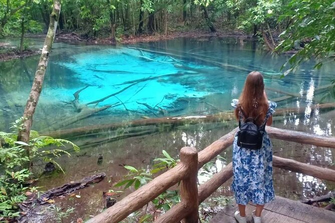 Discover Krabi - Emerald Pool, Hot Springs & Tiger Cave Temple - Emerald Pool offers the best first taste of the forest