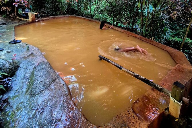 Dominica Adventure Hiking, Swimming, and Hot Springs Tour - Ending at Ti Kwen Glo Cho hot springs