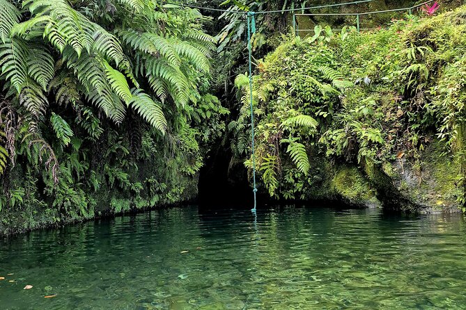 Dominica Adventure Hiking, Swimming, and Hot Springs Tour - Guidance, pace, and the human side of the day