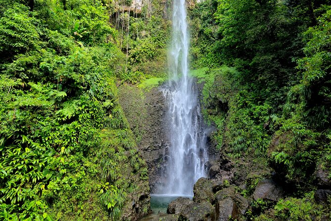 Dominica Adventure Hiking, Swimming, and Hot Springs Tour - Freshwater Lake and the high mountain views