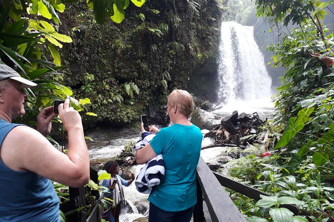 Dominica Half-Day Tour: Mero Beach, Waterfalls, Mineral bath Wotten Waven - What the guide adds to the ride