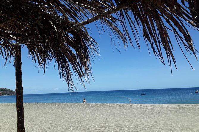Dominica Half-Day Tour: Mero Beach, Waterfalls, Mineral bath Wotten Waven - Transport, pickup zones, and private group value