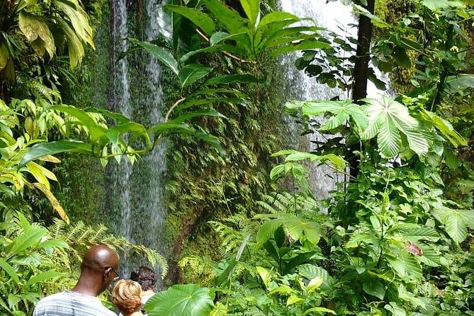 Dominica Half-Day Tour: Mero Beach, Waterfalls, Mineral bath Wotten Waven - Is $147.44 a fair price?