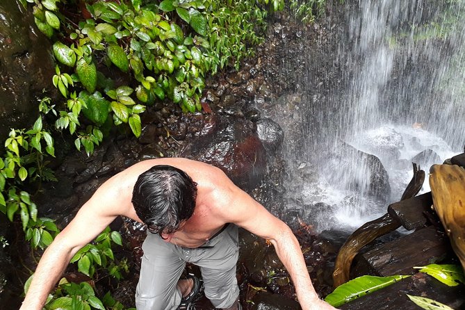 Dominica Half-Day Tour: Mero Beach, Waterfalls, Mineral bath Wotten Waven - Snacks, what to bring, and what is not included