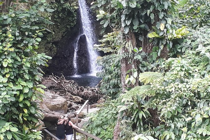 Dominica Half-Day Tour: Mero Beach, Waterfalls, Mineral bath Wotten Waven - Salton Waterfalls and the freshwater portion