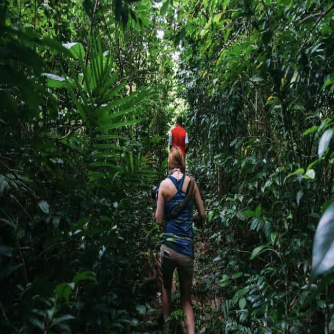 Dominica Hot Springs Waterfalls and Titou Gorge Treasures - Morne Bruce gives you Roseau from above