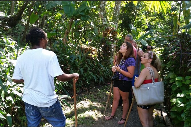 Dominica Hot Springs Waterfalls & Titou Gorge Treasures - The guide can make the difference