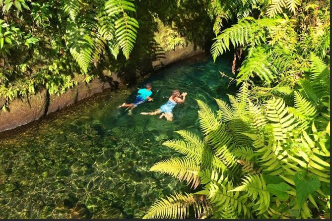 Dominica Hot Springs Waterfalls & Titou Gorge Treasures - Seeing the twin falls at Trafalgar Falls