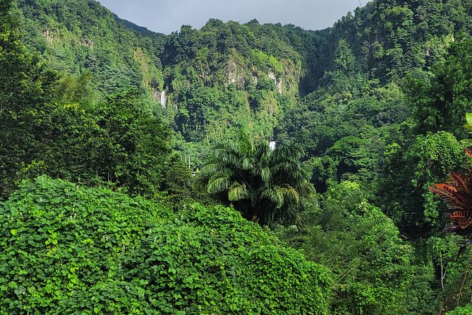 Dominica Scenic Waterfalls and Hot Springs @ Autop Tours - A Short Route Into Dominica’s Volcanic Interior