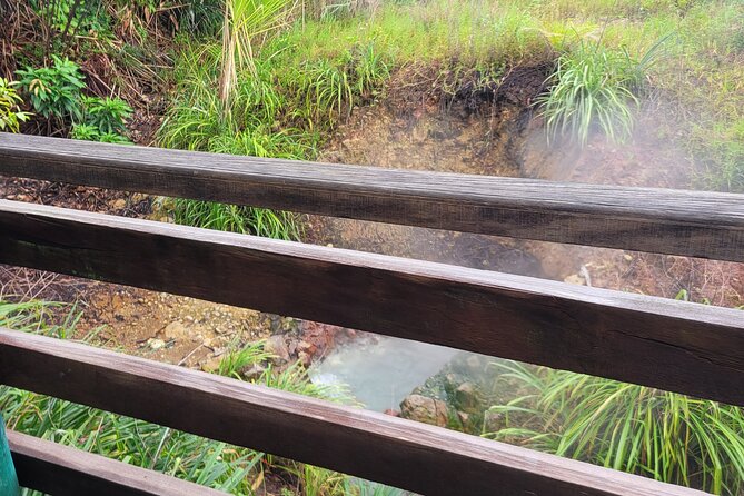 Dominica Scenic Waterfalls and Hot Springs @ Autop Tours - Wotten Waven’s Steam and Sulphur