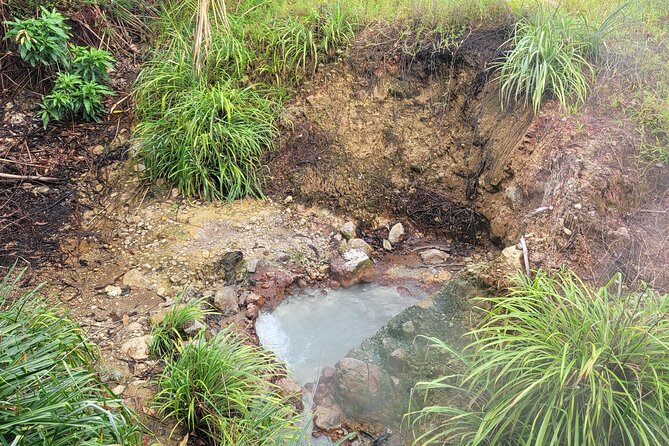 Dominica Scenic Waterfalls and Hot Springs @ Autop Tours - Timing, Pickup, and Group Size