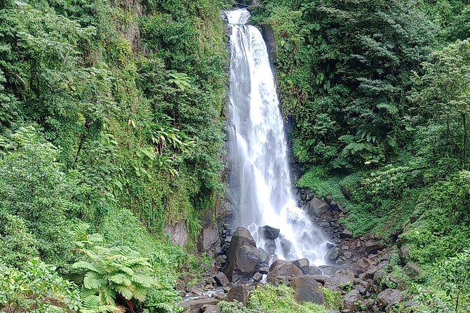 Dominica Scenic Waterfalls and Hot Springs @ Autop Tours - Trafalgar Falls From an Easy Viewpoint