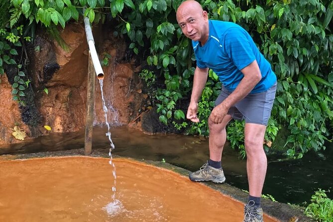 Dominica Waterfalls and Hot Springs Full Day Tour - A brief look at the Dominica Botanic Gardens