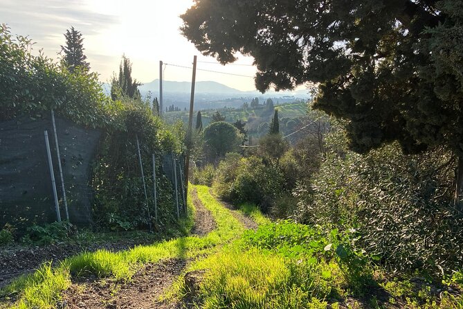 E-BIKE adventure in Montecatini Terme and Valdinievole - From Montecatini’s Pineta to the open countryside