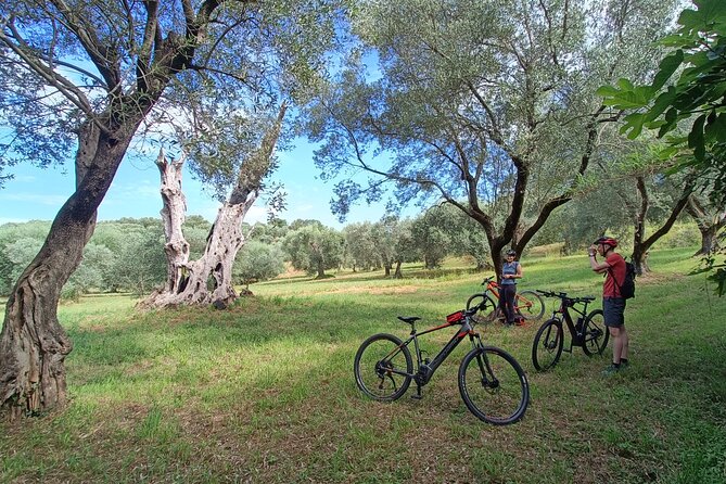 E-Bike Tour fortresses and mountains near the Free Baths of Saturnia - A farmhouse stop above the valley