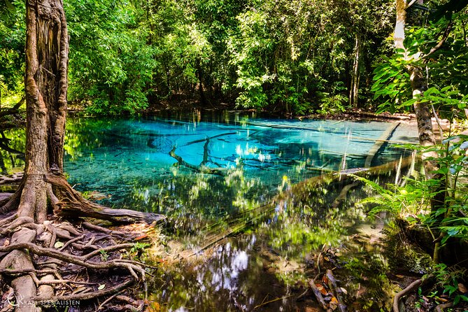 ECO Premium Jungle Hot Springs and Temple Tour - Who should book this Krabi tour?
