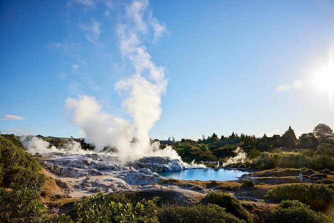 Ex Auckland: Rotorua Māori Village with Haka and Hot Springs - Geothermal steam, silica formations, and Rotorua’s unusual setting