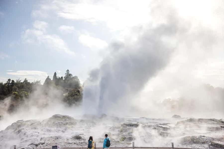 Ex Auckland: TE PUIA Geothermal, Redwood & Blue Springs - Why Te Puia makes the long trip worthwhile
