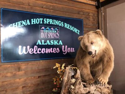 Northern Lights and Chena Hot Springs Tour