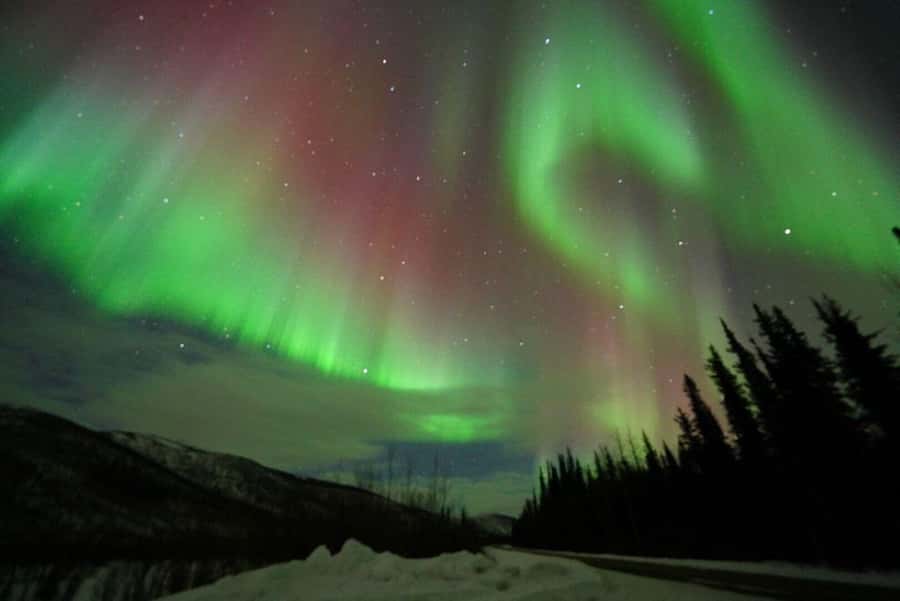 Fairbanks: Northern Lights and Chena Hot Springs Tour - Who will enjoy this night most?