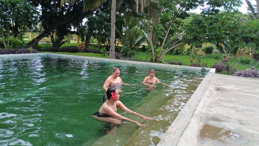 FIJI-NADI: Sabeto Tifajek Hot Spring and Mudpool Tour - Key points to know before you go