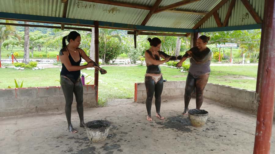 FIJI-NADI: Sabeto Tifajek Hot Spring and Mudpool Tour - The mud pool brings the activity to life