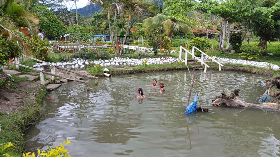 FIJI-NADI: Sabeto Tifajek Hot Spring and Mudpool Tour - Who will enjoy this most