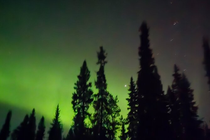 Fire & Ice: Chena Hot Springs, Ice Museum + Aurora Adventure - Searching for the Aurora Borealis