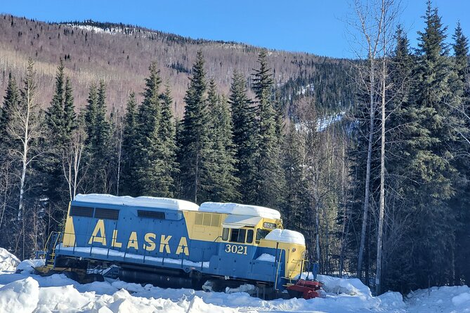 Fire & Ice: Chena Hot Springs, Ice Museum + Aurora Adventure - Inside the Chena Ice Museum