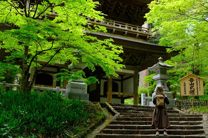Forest Bathing in Temple and Enjoy onsen with healing power - Key points to know before you book