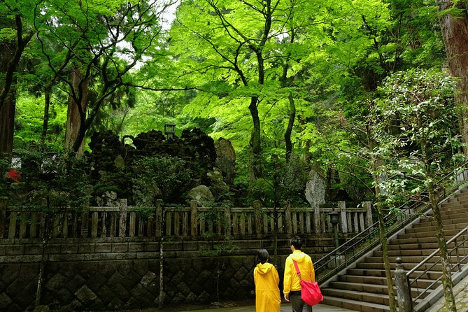 Forest Bathing in Temple and Enjoy onsen with healing power - Starting at Odawara Station at 9 a.m.
