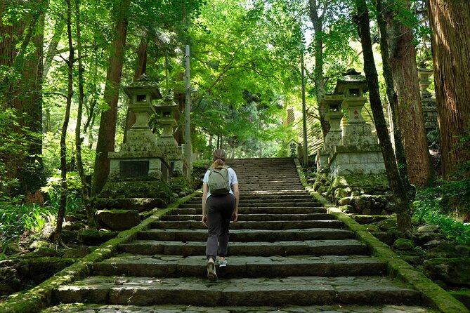 Forest Bathing in Temple and Enjoy onsen with healing power - Who will enjoy this outing most
