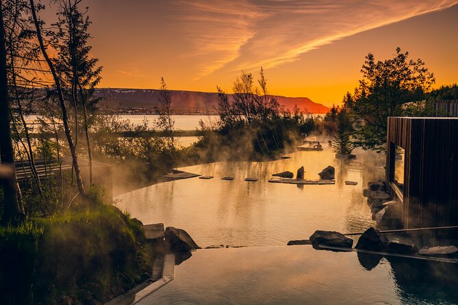 Forest Lagoon and Northern Lights Guided Night Tour - Why this pairing works on a winter evening