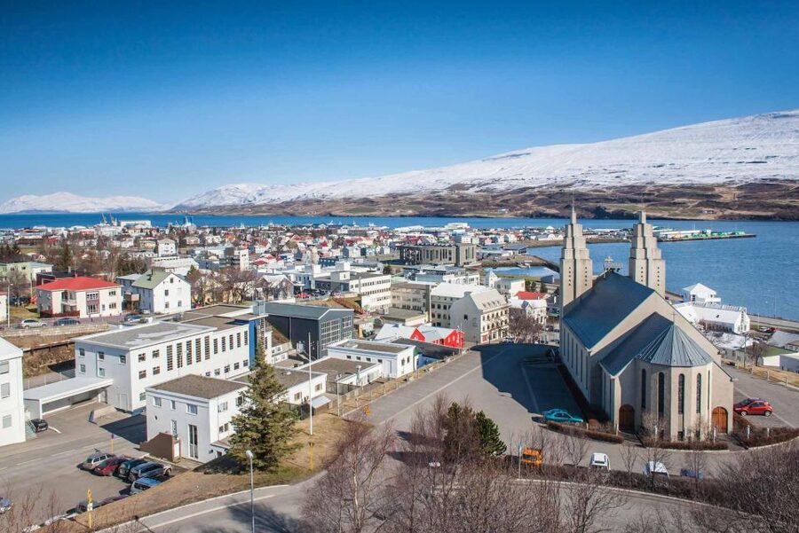 From Akureyri Port: Goðafoss Waterfall & Forest Lagoon Tour - Timing, comfort, and small complaints