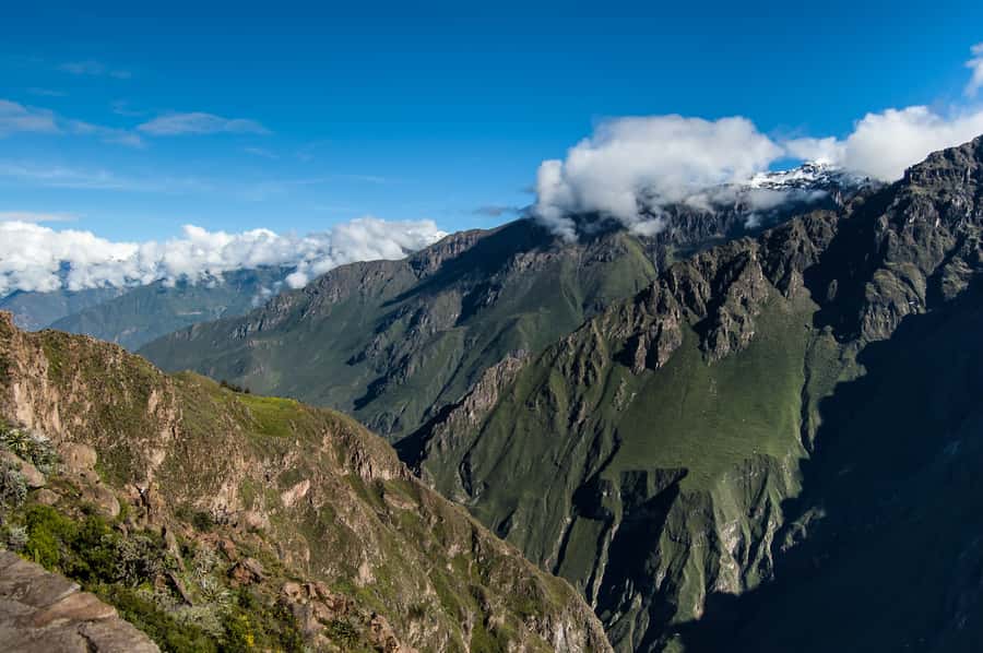 From Arequipa: Colca Canyon & La Calera Thermal Waters - Key points to know before you book