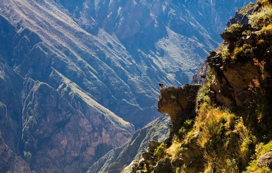 From Arequipa: Colca Valley & Thermal Baths Small-Group Trip - Antahuilque, Wayra Punku, and the canyon views